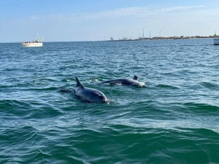 Appartement Thyborøn  23