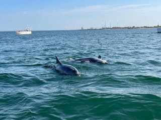 Apartment Thyborøn  33