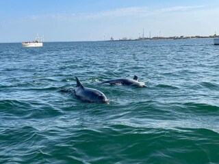 Appartamento Thyborøn  40