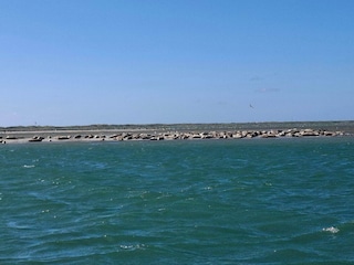 Apartment Thyborøn  11