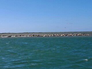 Apartment Thyborøn  42