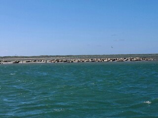 Apartamento Thyborøn  12