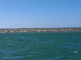 Apartment Thyborøn  39