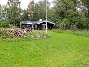 6 Personen Ferienhaus in Jerup - Bratten Strand - image1