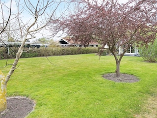 Ferienhaus Reersø  8