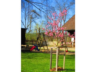 Holiday house Redwitz an der Rodach Outdoor Recording 5