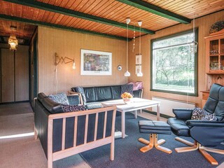 Vakantiehuis Arrild  2