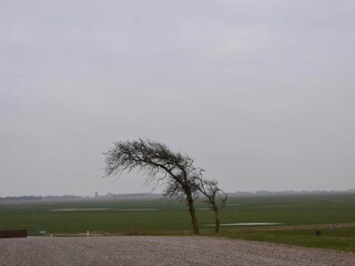 Vakantiehuis Arrild  32