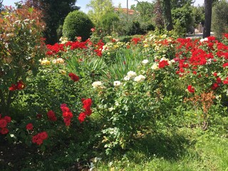 Casa per le vacanze Marciano della Chiana Registrazione all'aperto 5