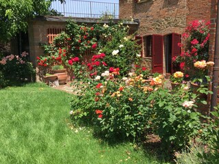 Casa per le vacanze Marciano della Chiana Registrazione all'aperto 6