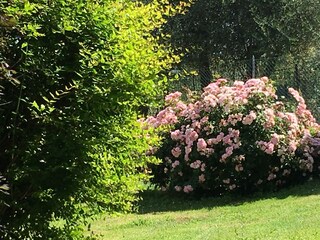 Casa per le vacanze Marciano della Chiana Registrazione all'aperto 7