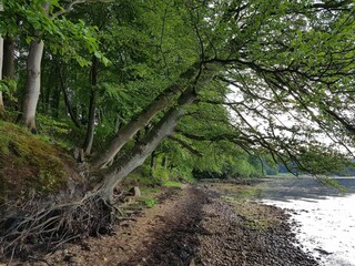 Appartement Høll  30
