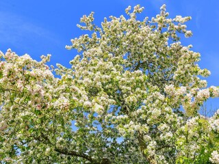 Vakantiehuis Sæby  11