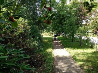 Casa de vacaciones Sæby  20