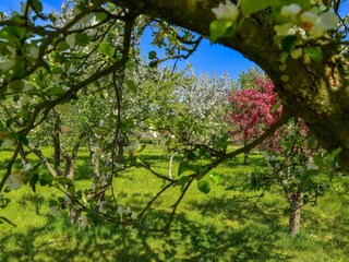 Casa per le vacanze Sæby  31