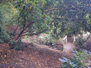 Ferienhaus Sæby  23