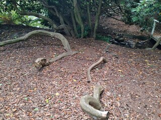 Maison de vacances Sæby  32