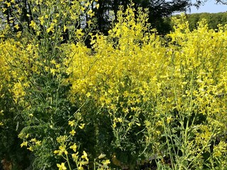 Maison de vacances Sæby  35