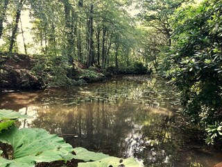 Maison de vacances Sæby  38