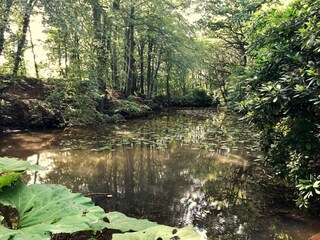 Casa de vacaciones Sæby  22