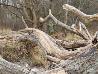 Casa per le vacanze Vig  28