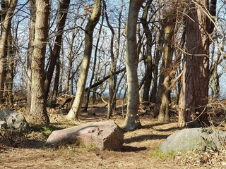 Holiday house Vig  29