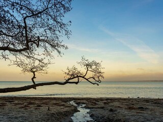 Casa per le vacanze Vig  31