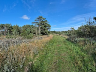 Holiday house Havneby  8
