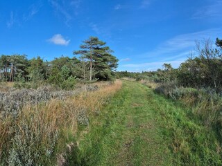 Maison de vacances Havneby  16