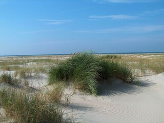 Vakantiehuis Havneby  20