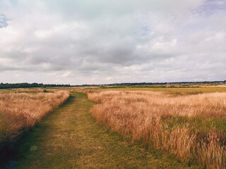 Casa per le vacanze Havneby  15
