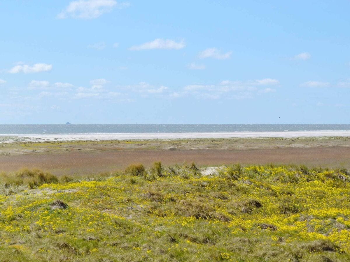 Apartamento Fanø Bad Grabación al aire libre 1