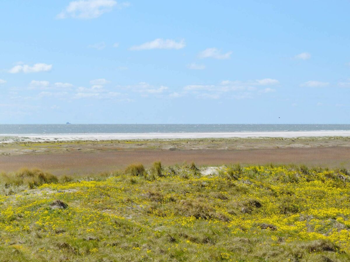 Apartamento Fanø Bad Grabación al aire libre 1