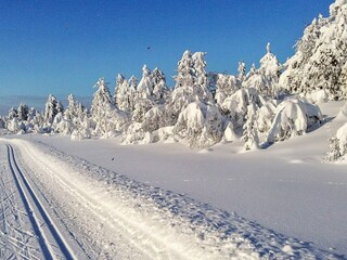 Vakantiehuis Fåvang  14