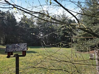 Vakantiehuis Blåvand  36