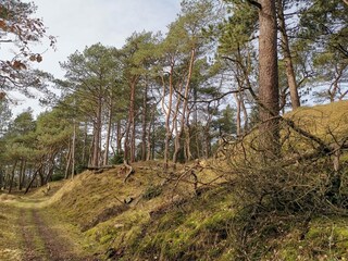 Vakantiehuis Blåvand  37