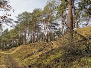 Vakantiehuis Blåvand  8