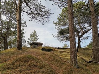 Vakantiehuis Blåvand  38