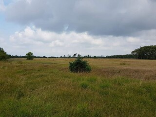 Vakantiehuis Blåvand  13