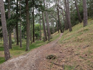 Ferienhaus Blåvand  4