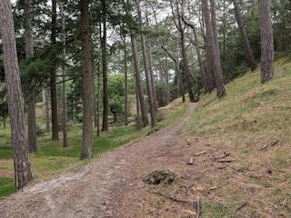 Vakantiehuis Blåvand  9