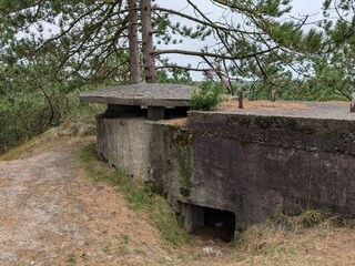 Vakantiehuis Blåvand  42