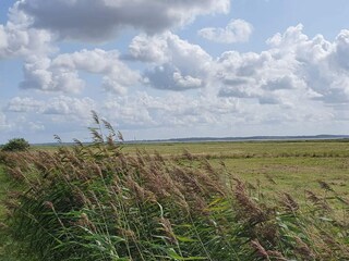 Vakantiehuis Blåvand  13