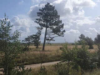 Vakantiehuis Blåvand  45