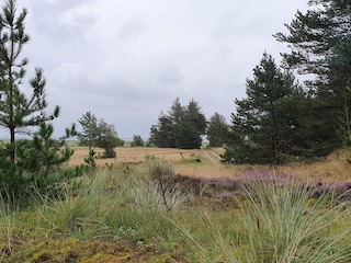 Vakantiehuis Blåvand  31