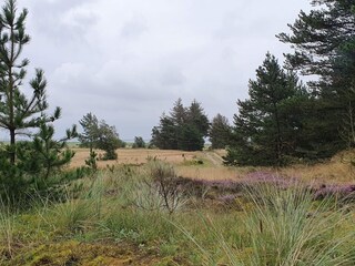 Vakantiehuis Blåvand  46