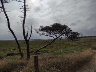 Ferienhaus Blåvand  18
