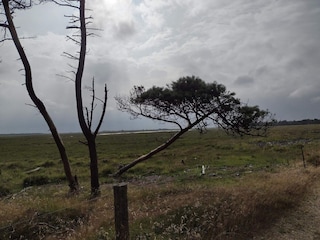 Ferienhaus Blåvand  25