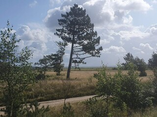 Holiday house Blåvand  19