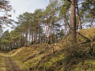 Vakantiehuis Blåvand  21
